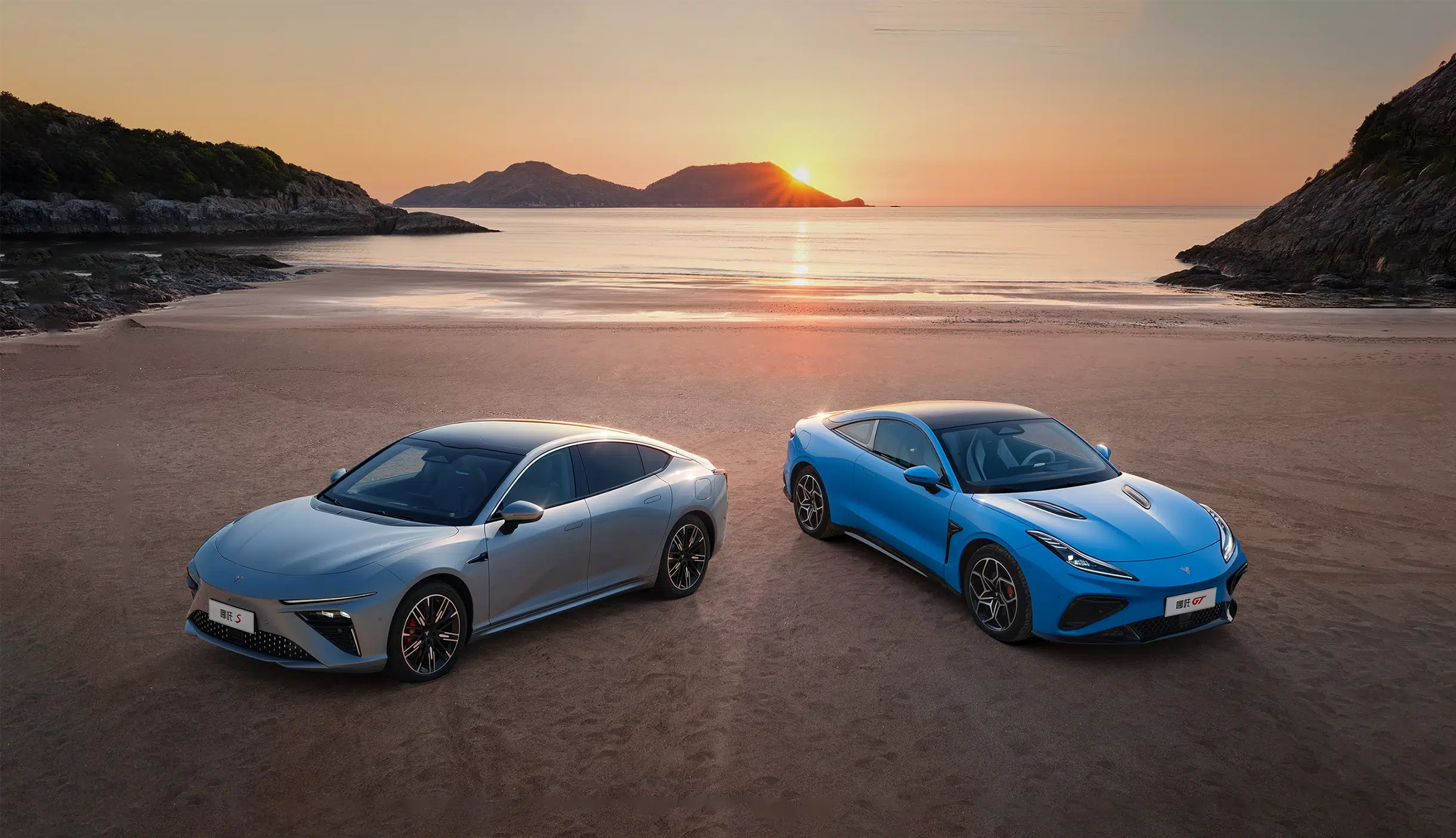 Neta en difficulté fait face à une faillite potentielle plutôt qu'à l'acquisition de Toyota